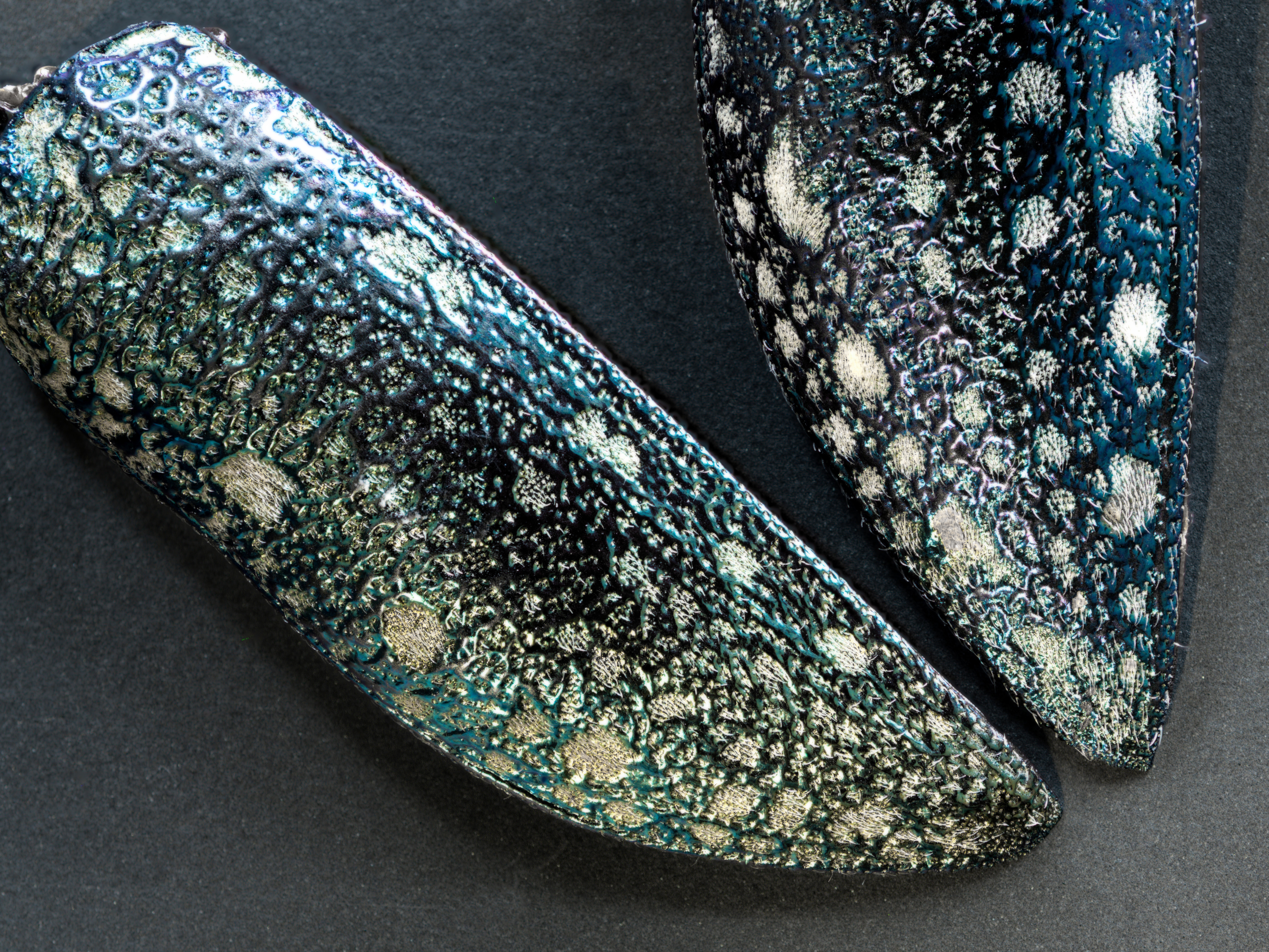 9216 x 6912 px resolution