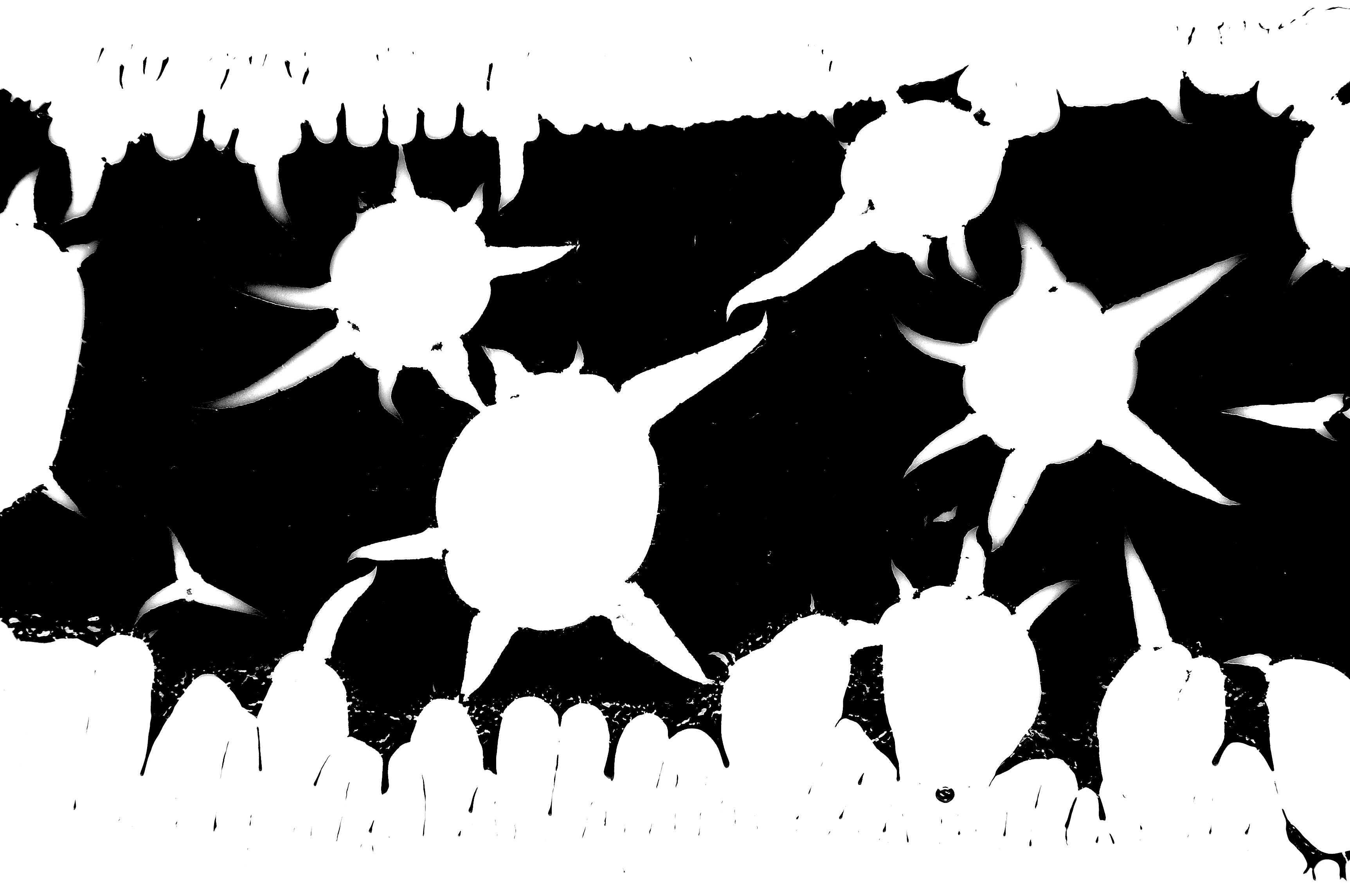 baked film of an aqueous coating with dispersed reduced graphene oxide, polypropylene substrate