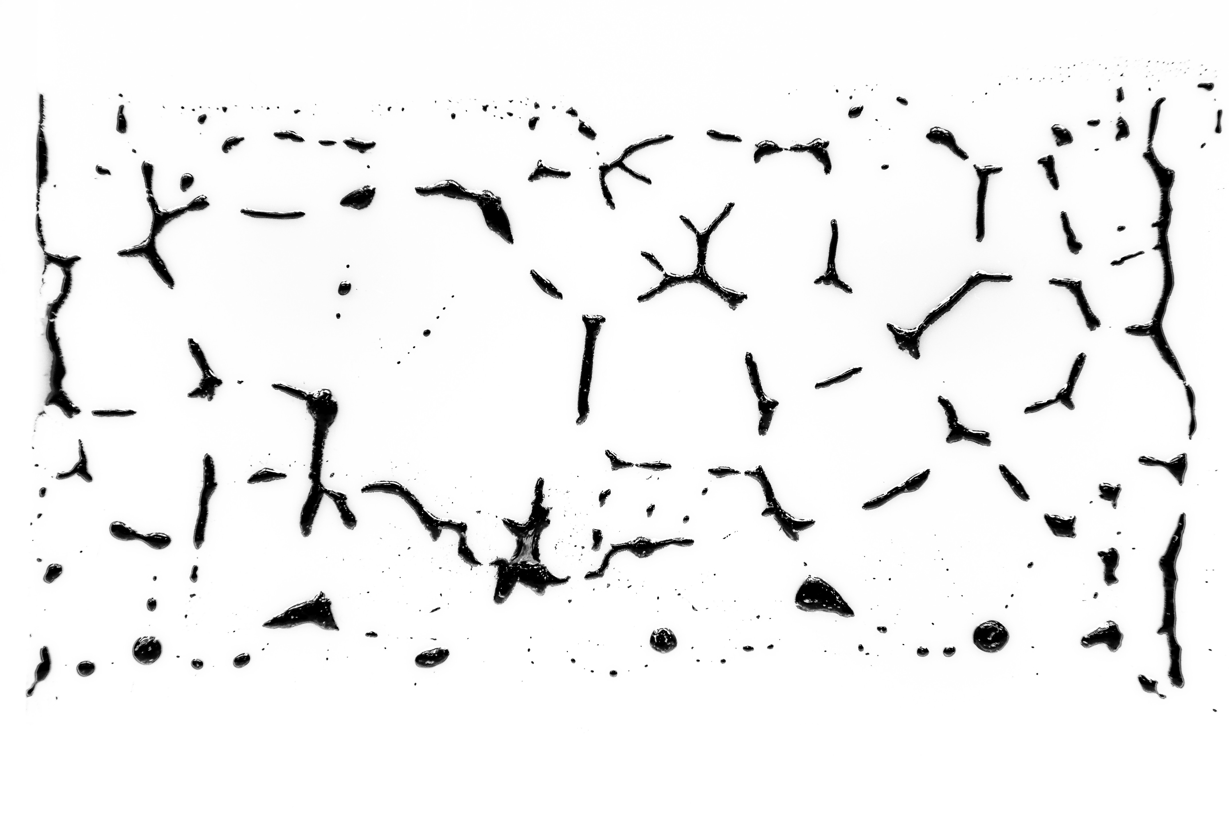 baked film of an aqueous coating with dispersed reduced graphene oxide, polypropylene substrate